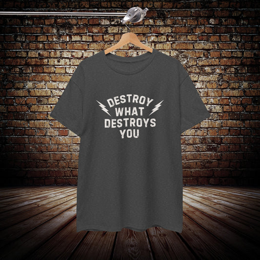 Destroy What destroys you t-shirt
